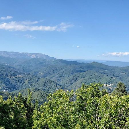 Gite De Combelebouze En Cevennes - Cosy, Confort Et Climatise - 3 Etoiles Saint-Privat-de-Vallongue 外观 照片