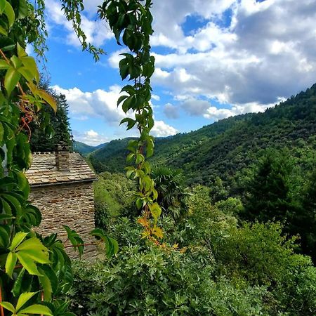 Gite De Combelebouze En Cevennes - Cosy, Confort Et Climatise - 3 Etoiles Saint-Privat-de-Vallongue 外观 照片