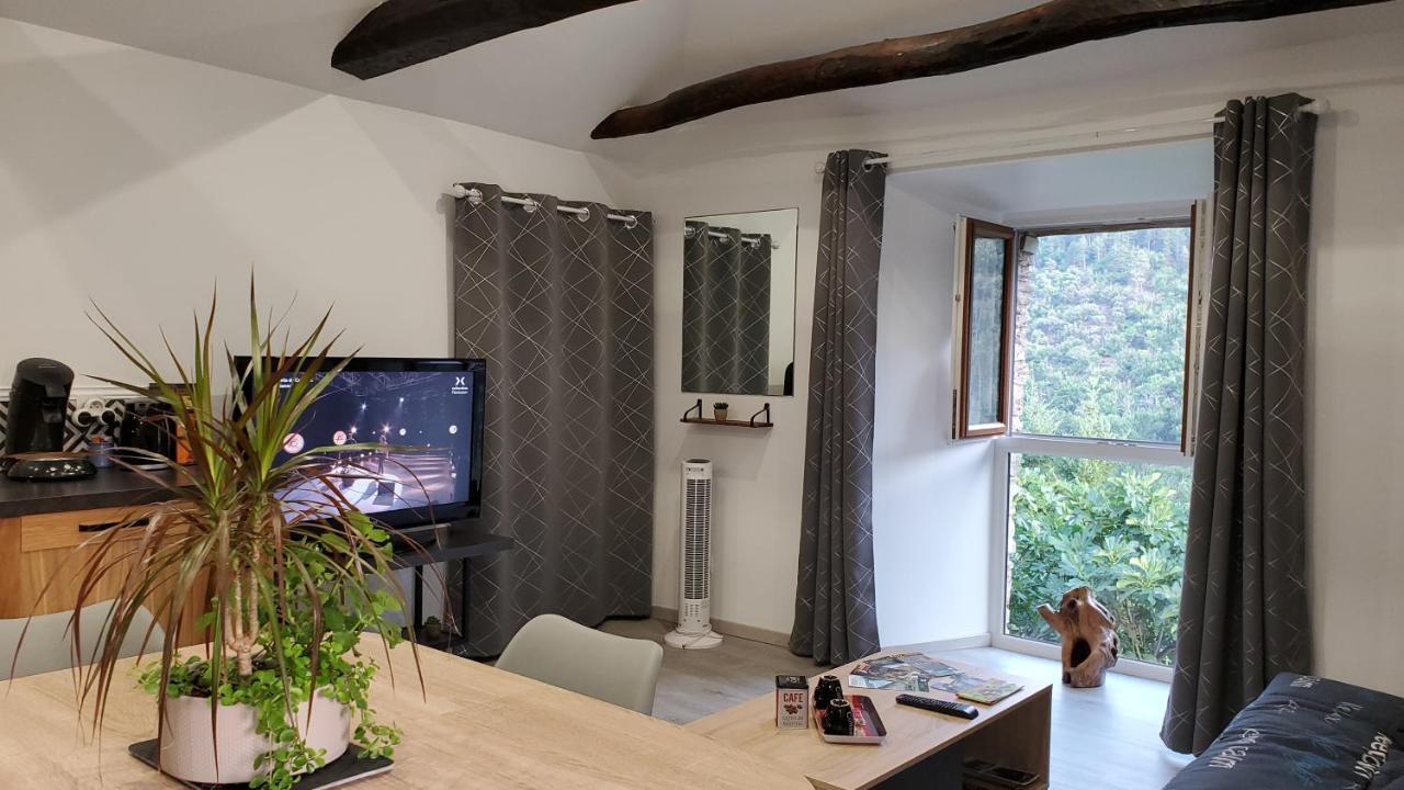 Gite De Combelebouze En Cevennes - Cosy, Confort Et Climatise - 3 Etoiles Saint-Privat-de-Vallongue 外观 照片