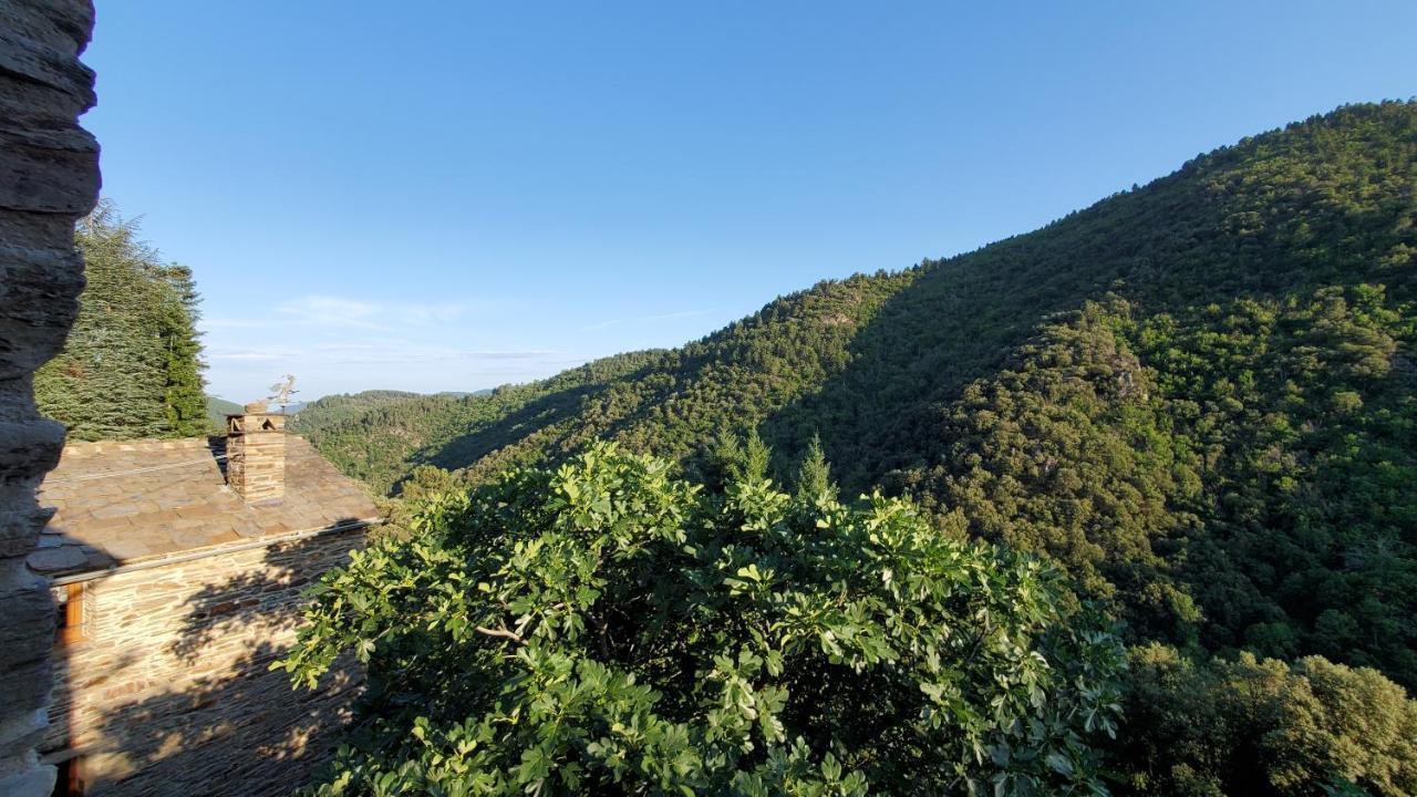 Gite De Combelebouze En Cevennes - Cosy, Confort Et Climatise - 3 Etoiles Saint-Privat-de-Vallongue 外观 照片