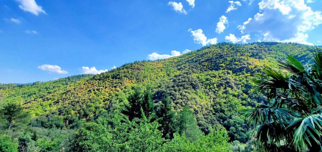 Gite De Combelebouze En Cevennes - Cosy, Confort Et Climatise - 3 Etoiles Saint-Privat-de-Vallongue 外观 照片