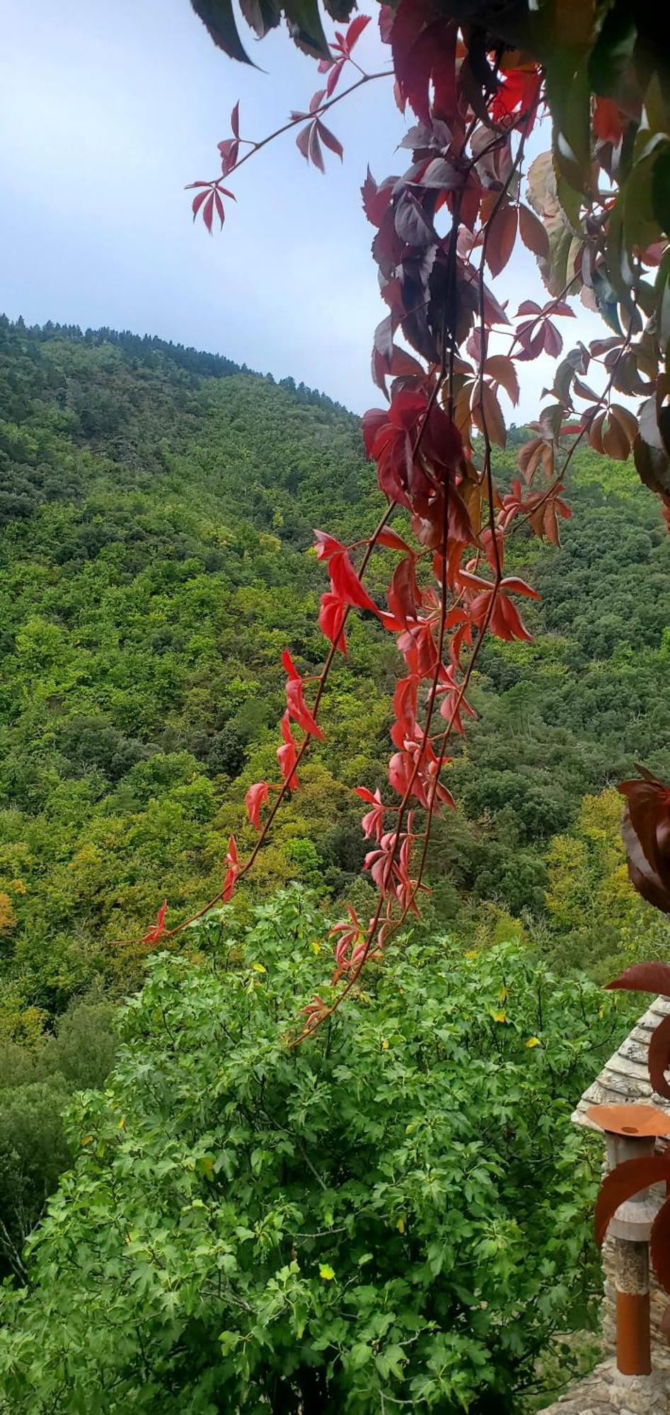 Gite De Combelebouze En Cevennes - Cosy, Confort Et Climatise - 3 Etoiles Saint-Privat-de-Vallongue 外观 照片