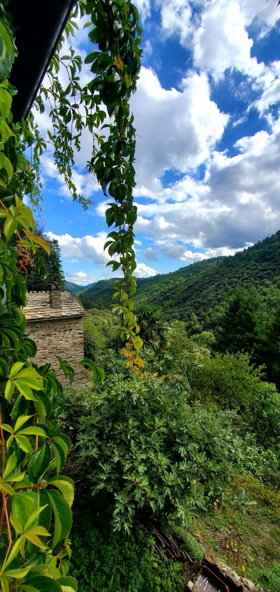 Gite De Combelebouze En Cevennes - Cosy, Confort Et Climatise - 3 Etoiles Saint-Privat-de-Vallongue 外观 照片